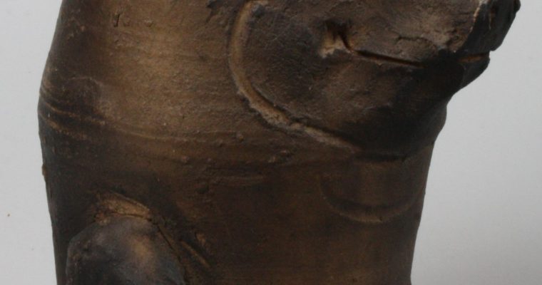 Harm H. Kamerlingh Onnes ‘Russisch Staatsvarken’